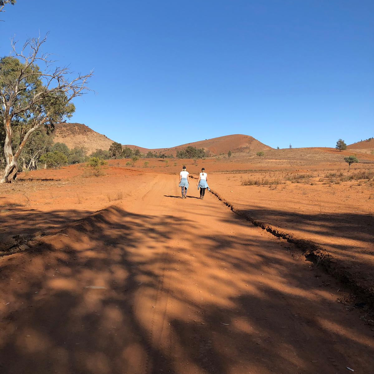 Camping In The Flinders Ranges With Kids