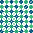 Argyle Large Zip Pouch - Project Ten