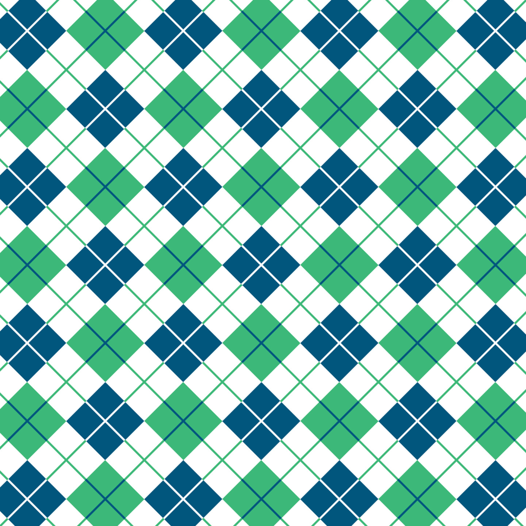 Argyle Large Zip Pouch - Project Ten