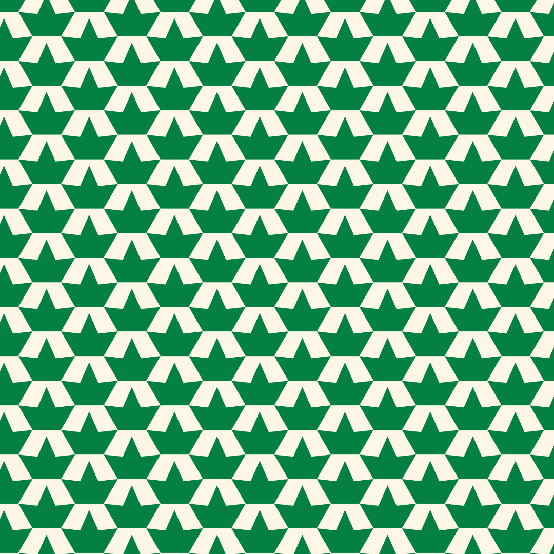 Zip Pouch Bundle (x3 sizes) – Boats - Project Ten