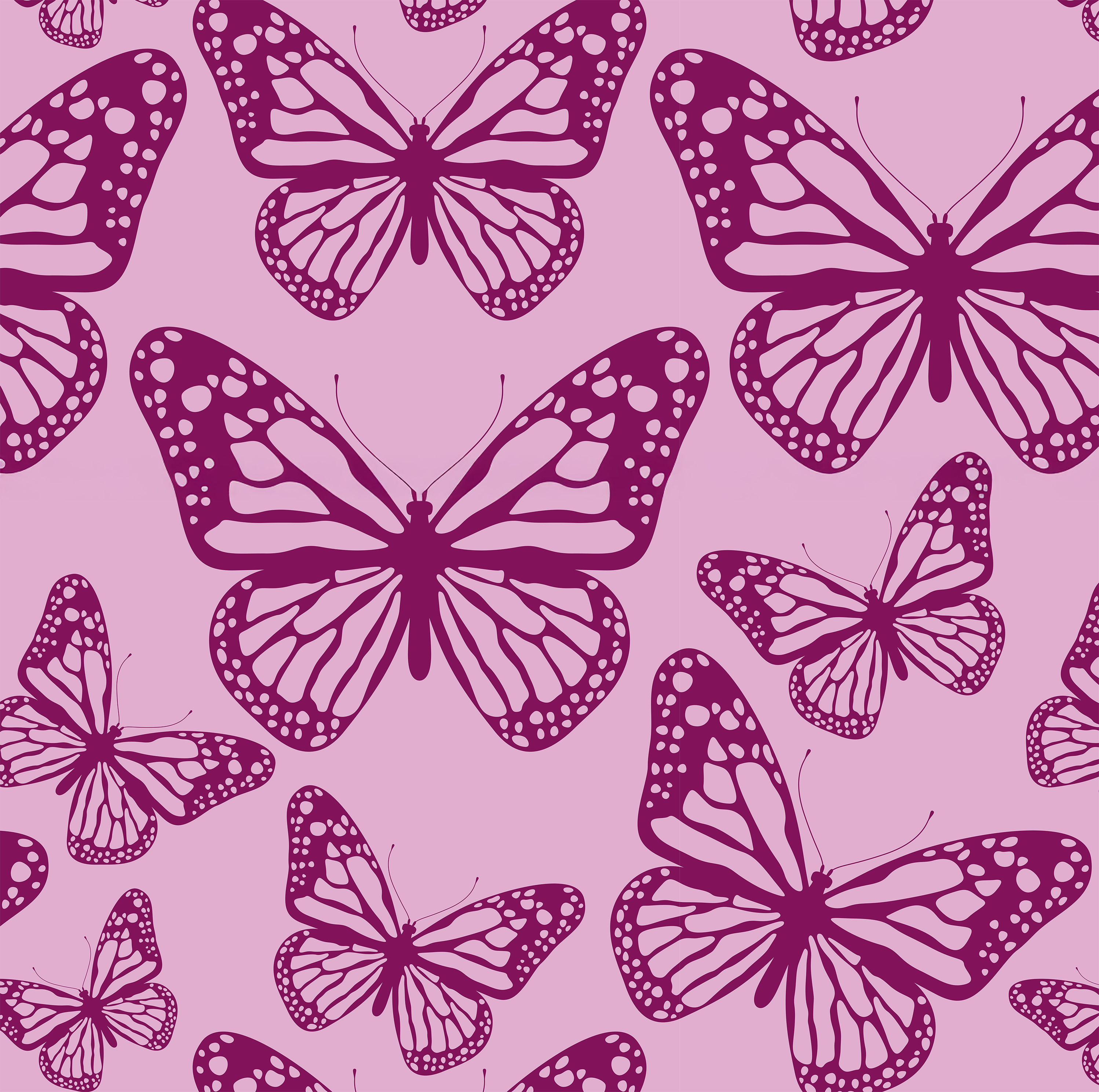 Close up of Butterfly.
- Project Ten