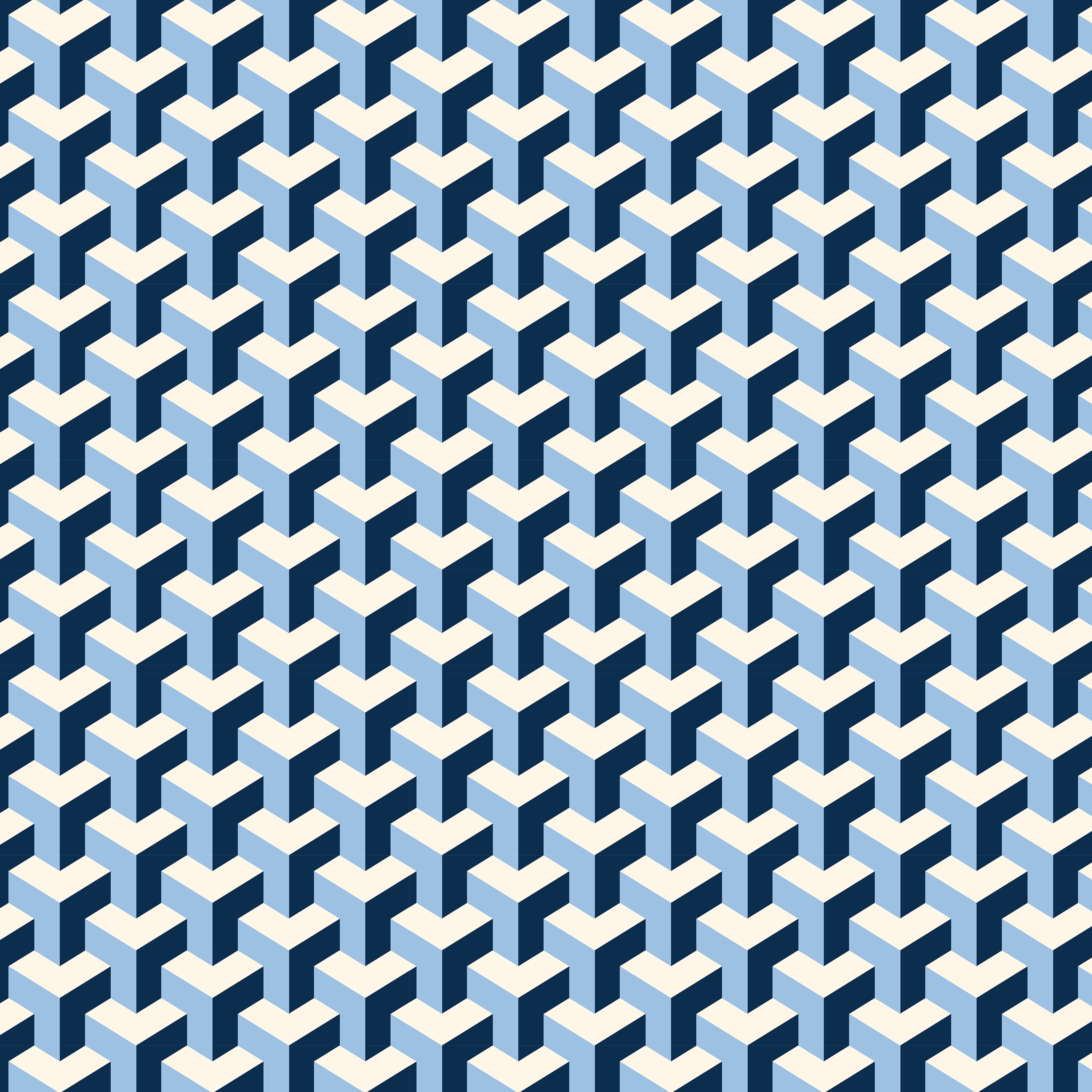 Beach/Large Shopping Bundle – Maze - Project Ten