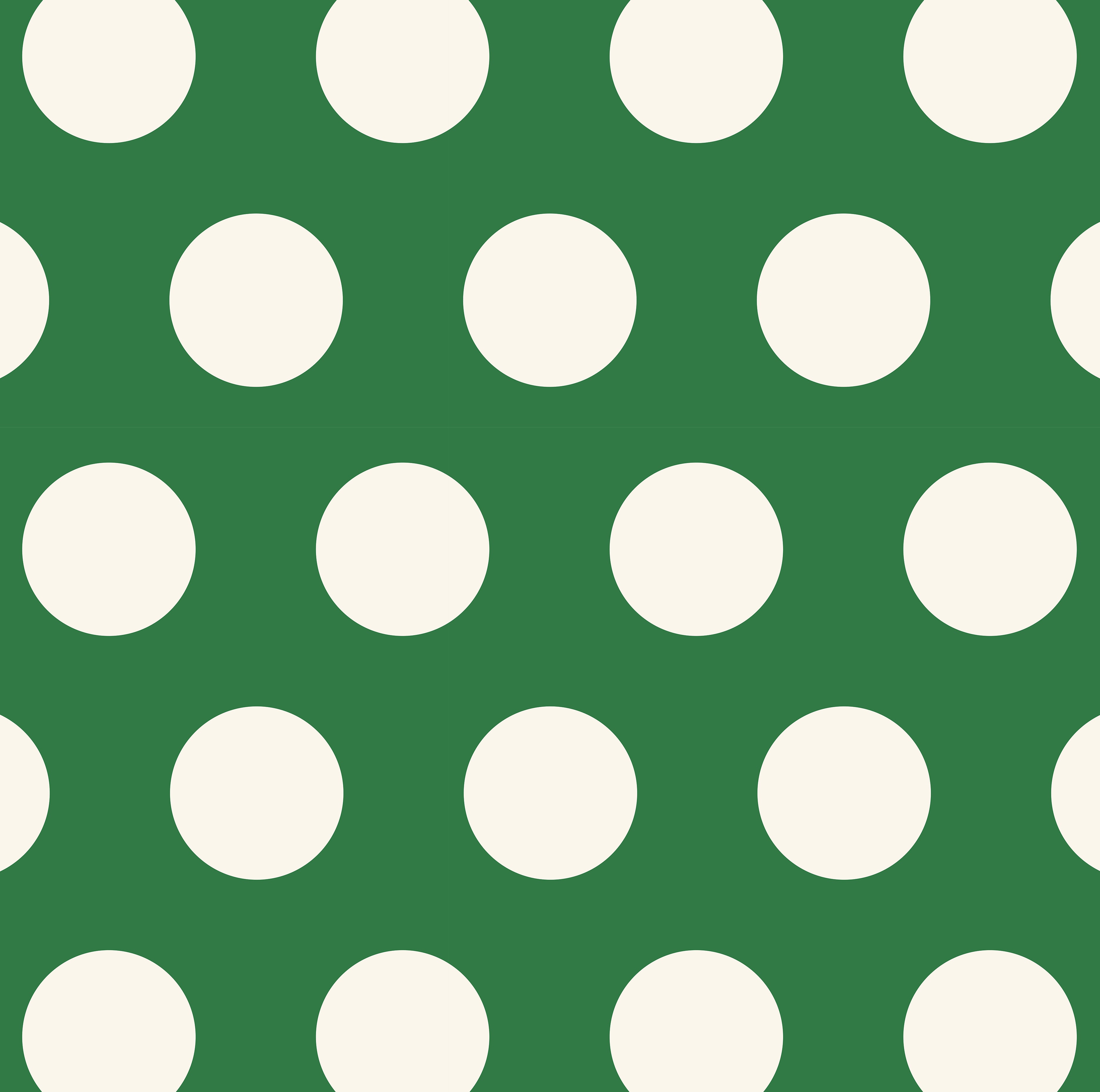 Close up of Polka Dot - Project Ten