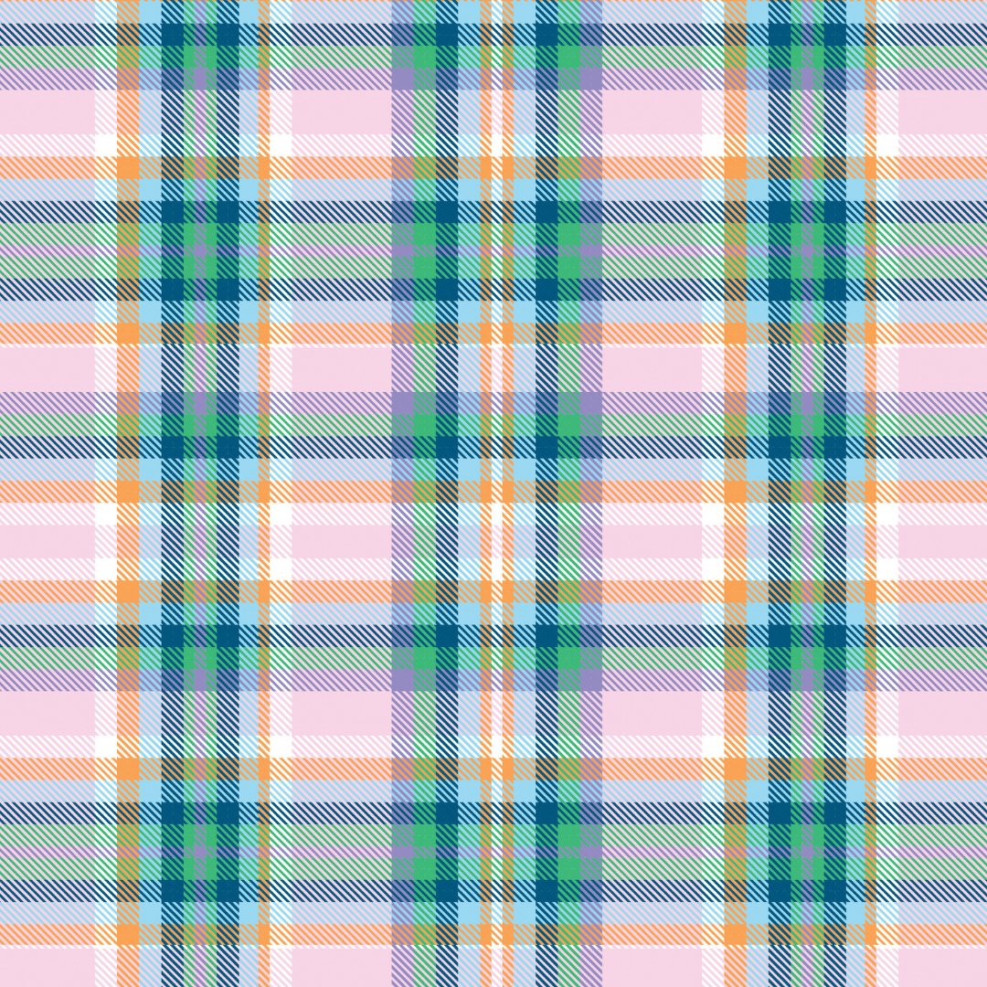 Plaid Takeaway Bag - Project Ten