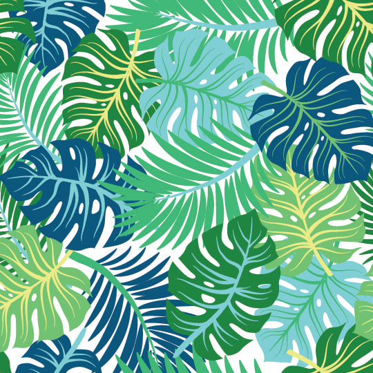 Palms