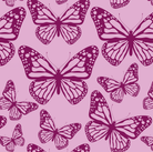 Close up of Butterfly. 
- Project Ten