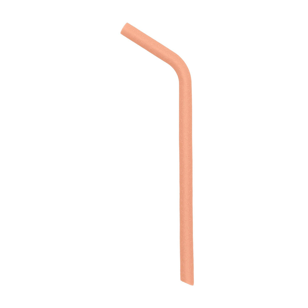 Keepie + Straw Set - Dark Peach - Project Ten