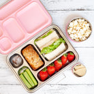 Stainless Steel Lunch Box - 5 compartment - Project Ten